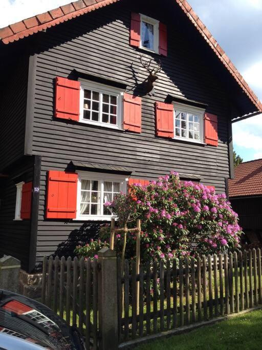 Villa Herzog - Ferienhaus Fuer 6 Personen In Braunlage, Harz 외부 사진